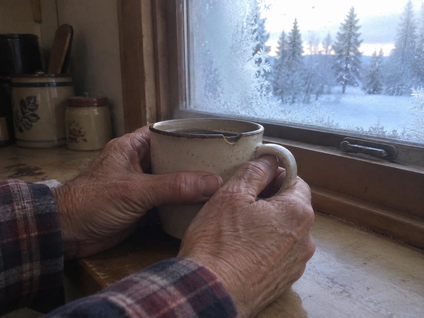 Two weathered hands around a mug of coffee at a frosted kitchen window, snow and spruce outside at first light.